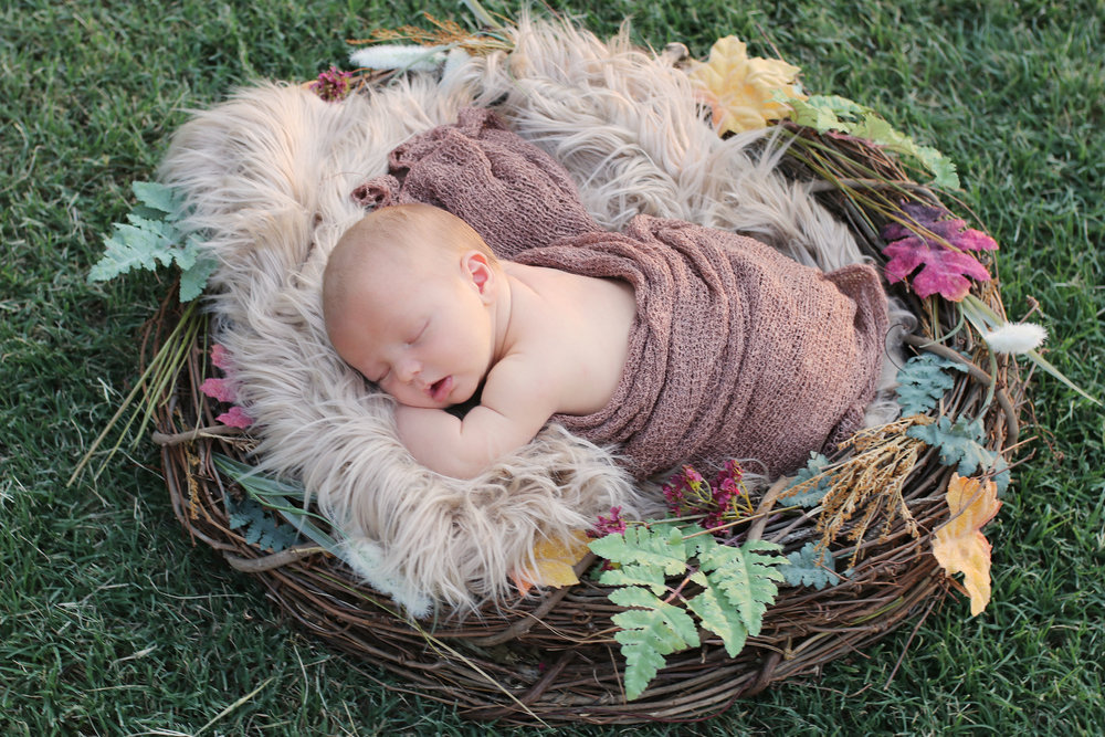 newborn baby sleeping in a nest basket