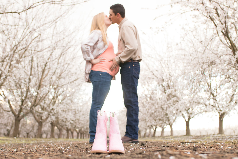 photo of a couple kissing in an almond orchard on the blossom trail for maternity photos