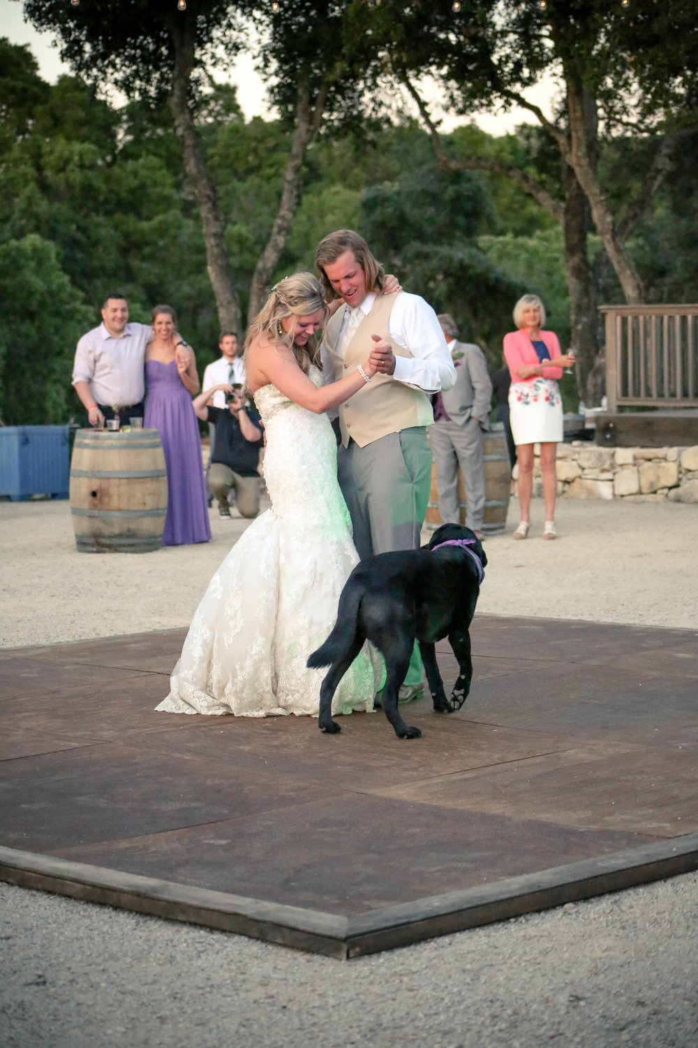 bride and groom dancing at their wedding with their dog