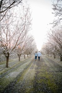 couple walking in an almond orchard with their dog
