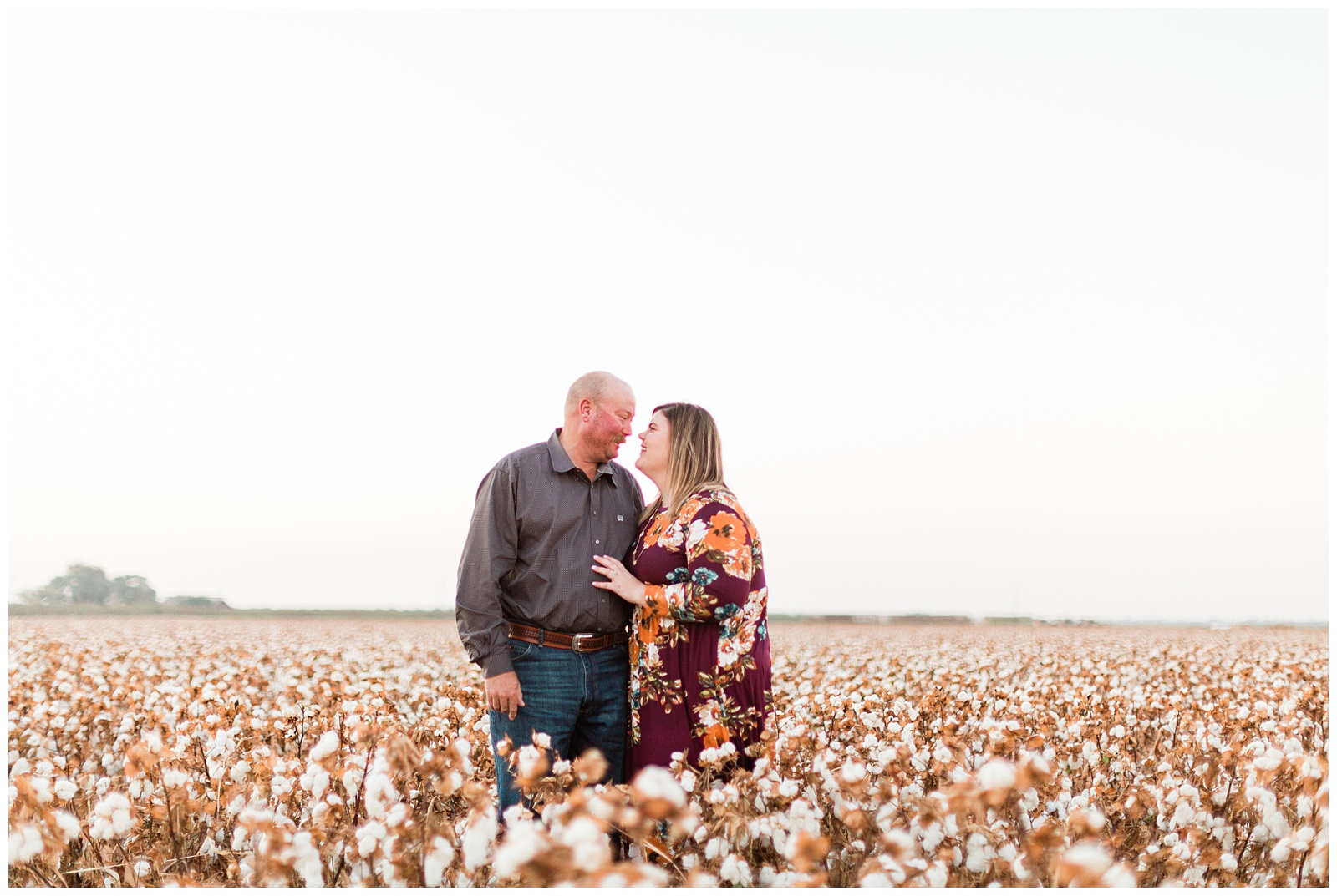 cotton field engagement photos