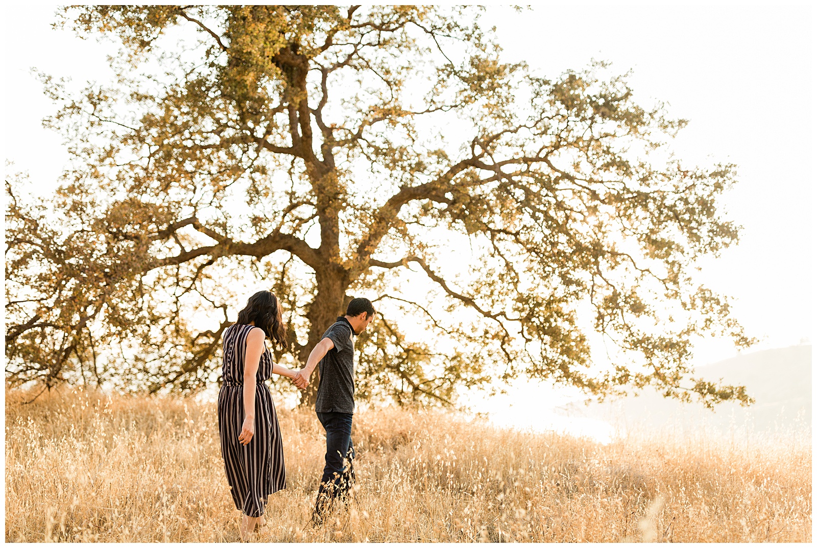 engaged couple walking together in front of an oak tree at millerton lake in fresno ca