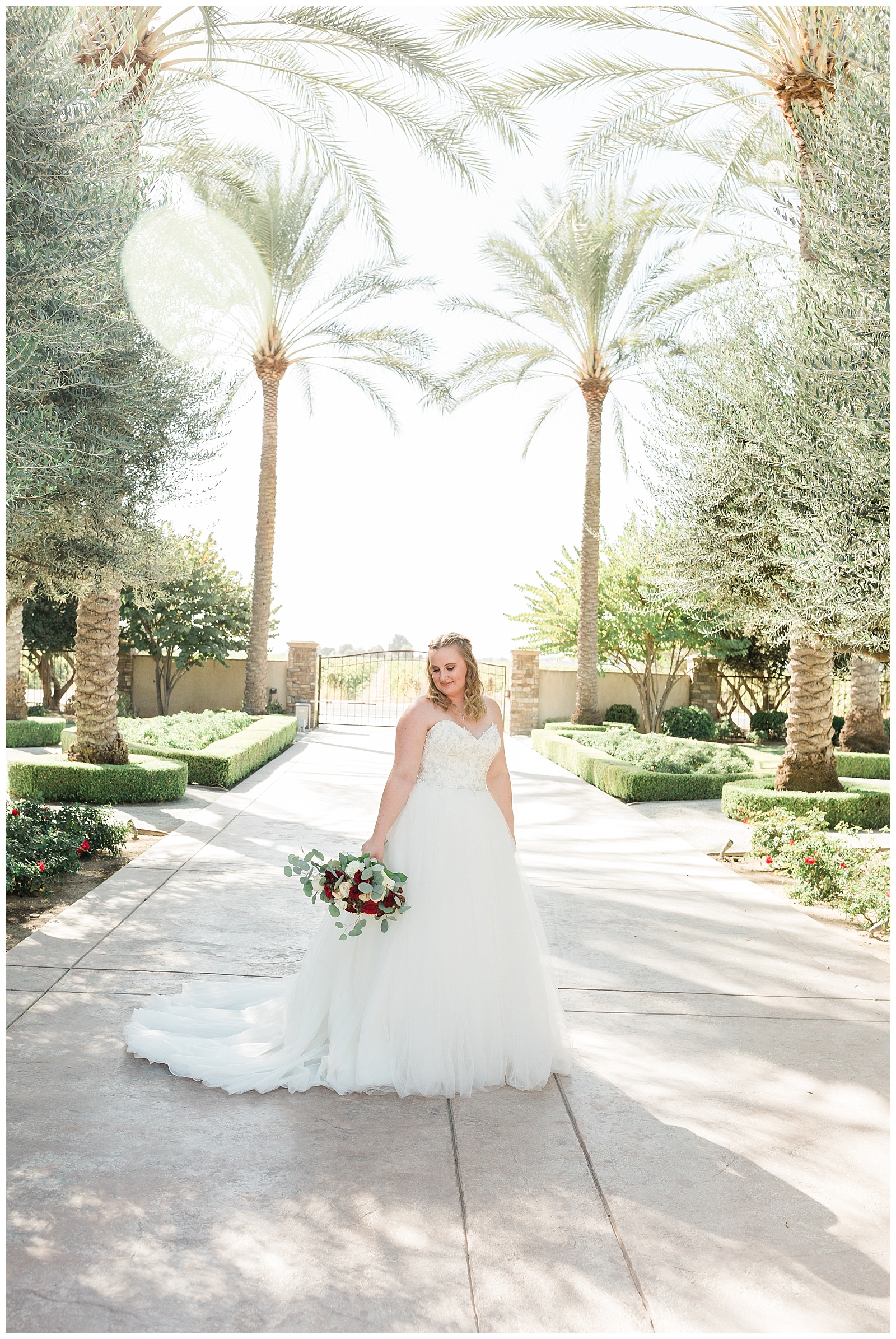 romantically posed bride in a maggie soterro wedding gown