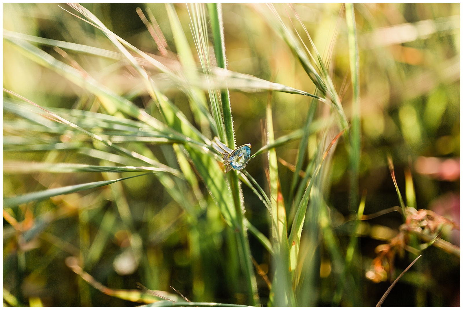 aquamarine engagement ring in the tall grass