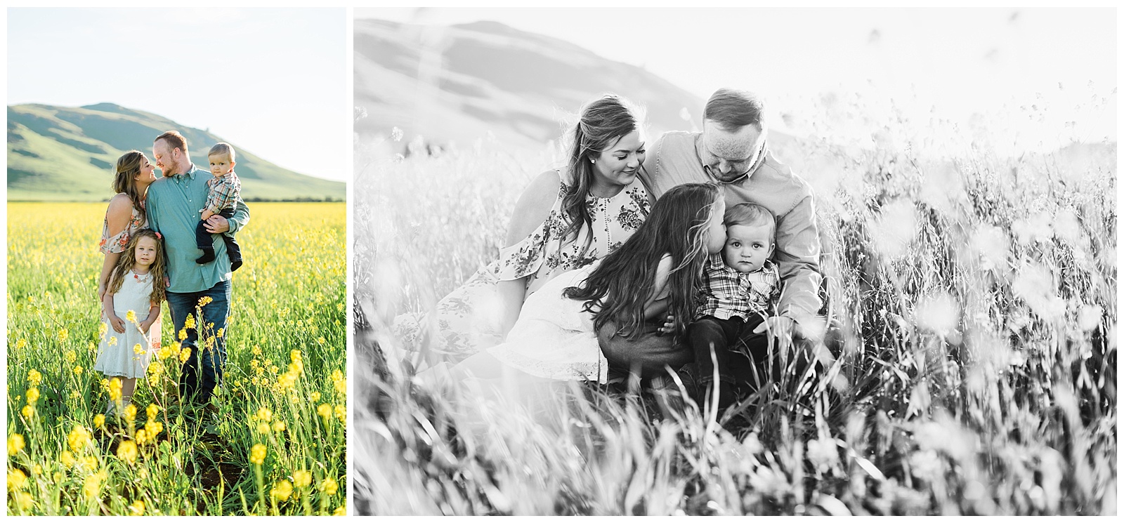 family photos in yellow wildflowers