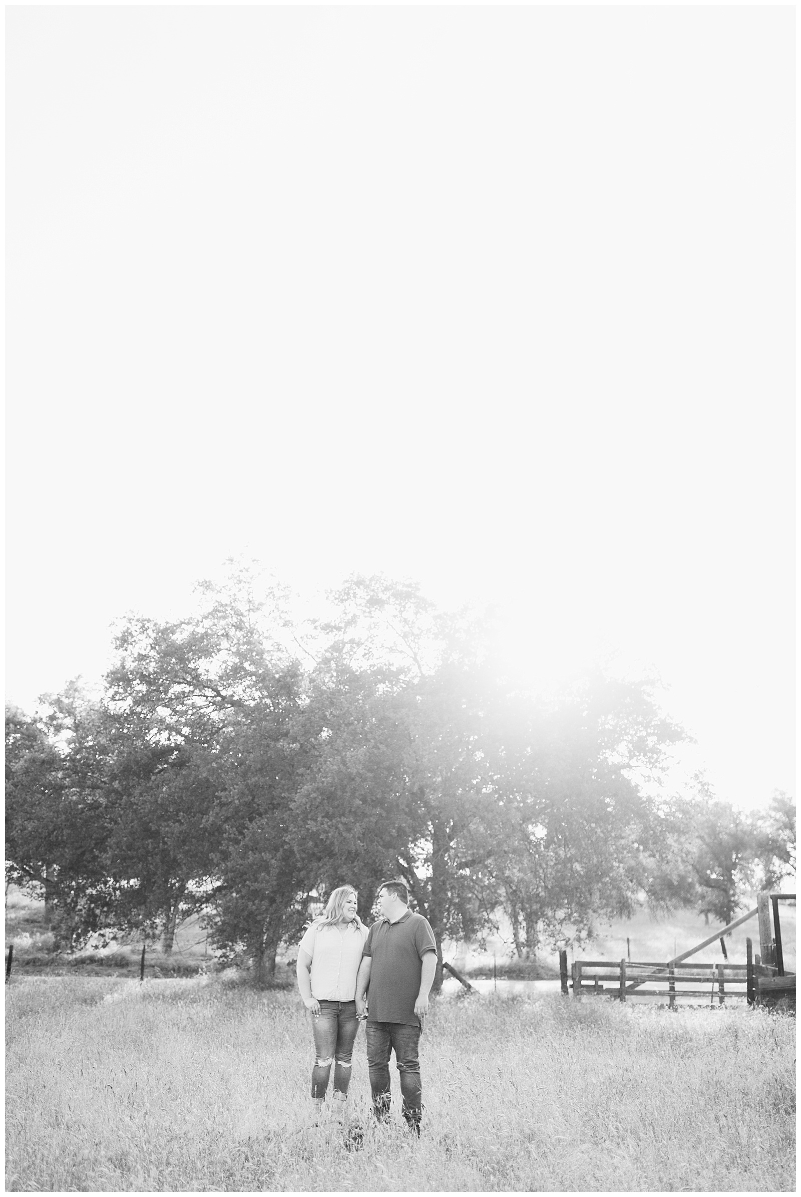 foothill engagement photos at sunset in front of an oak tree