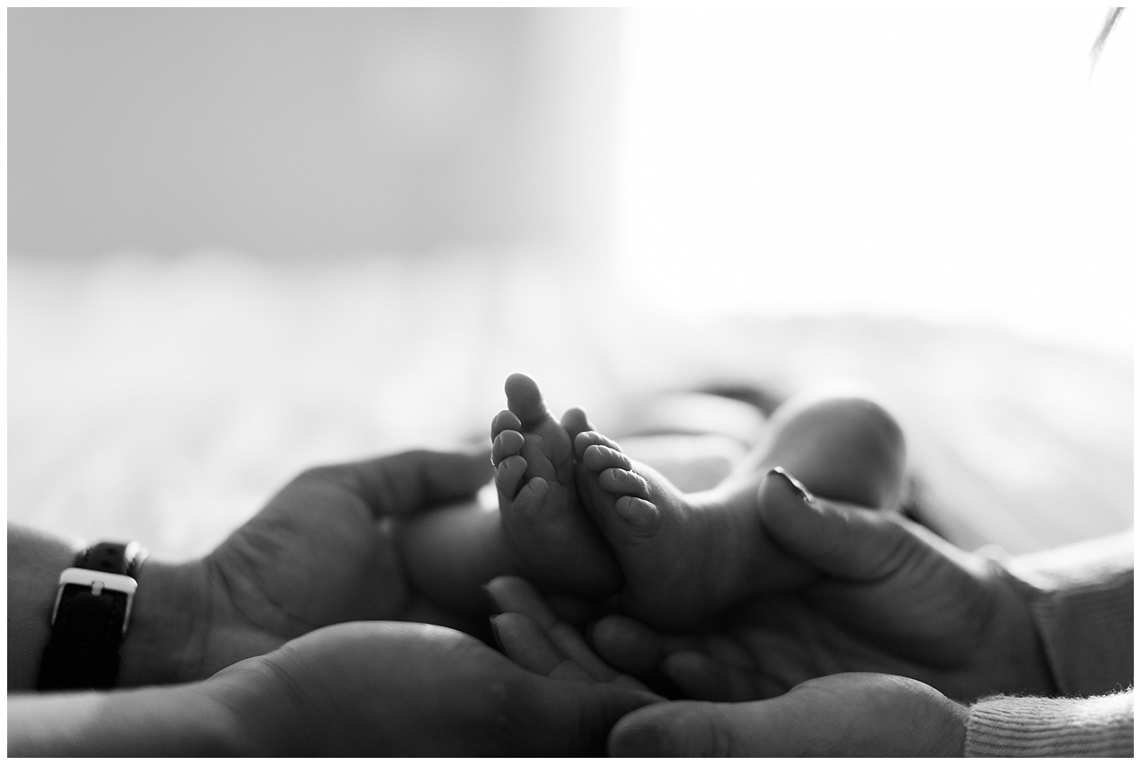 newborn baby feet being held by Mom and Dad's hands