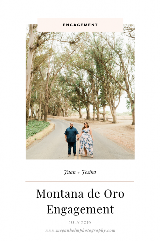 @megghelm blog cover for montana de oro engagement photos