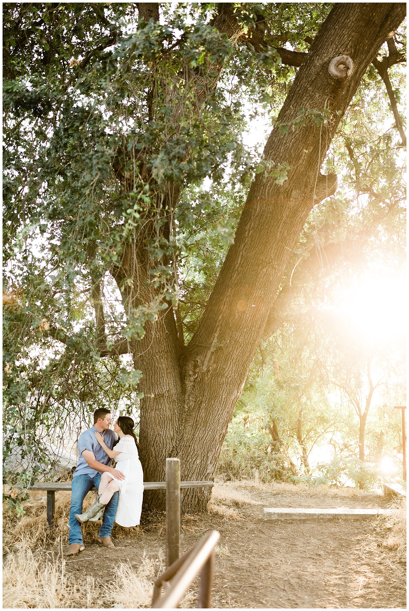 couple cuddling on a bench under an oak tree