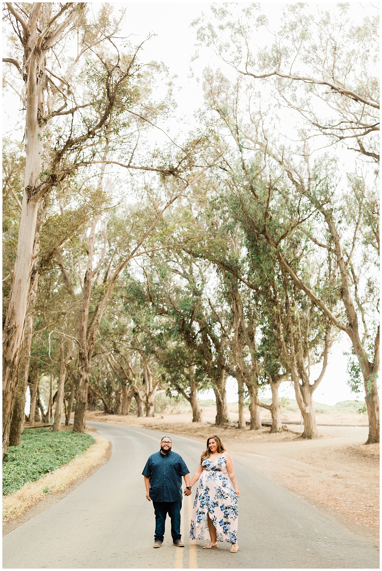 couple standing among tall eucalyptus trees for engagement photos with @megghelm