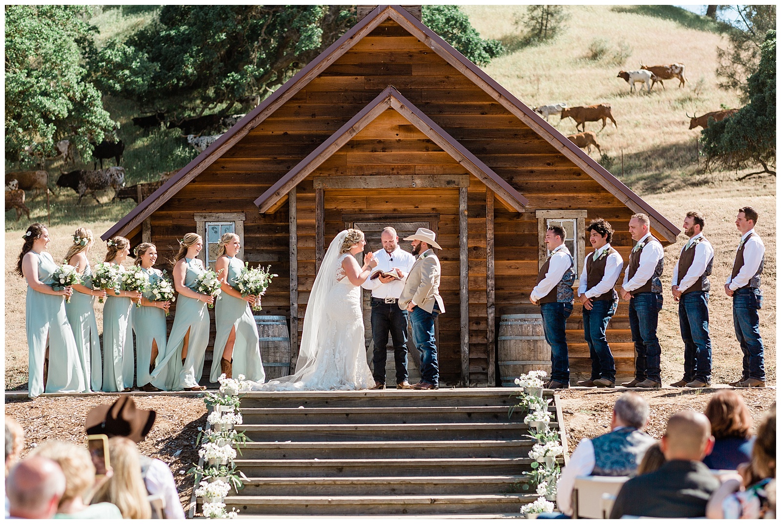 cattle drive during the wedding ceremony at fox creek ranch
