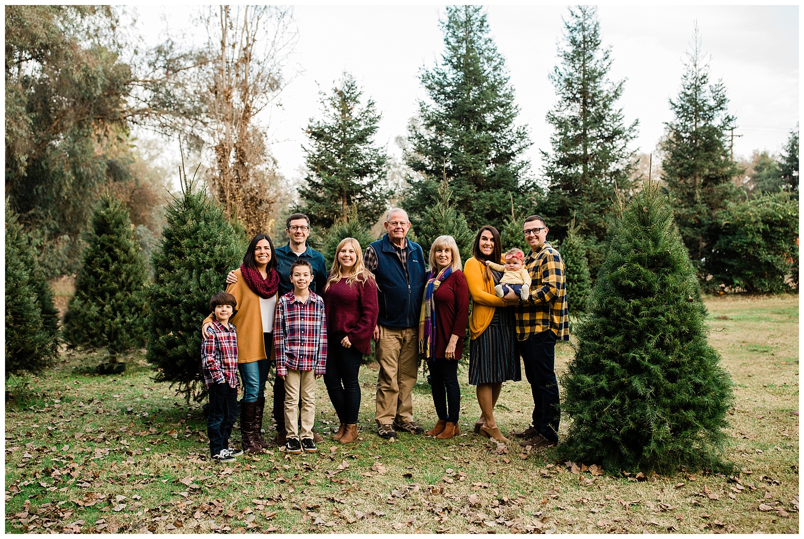 family photos at Hillcrest christmas tree farm