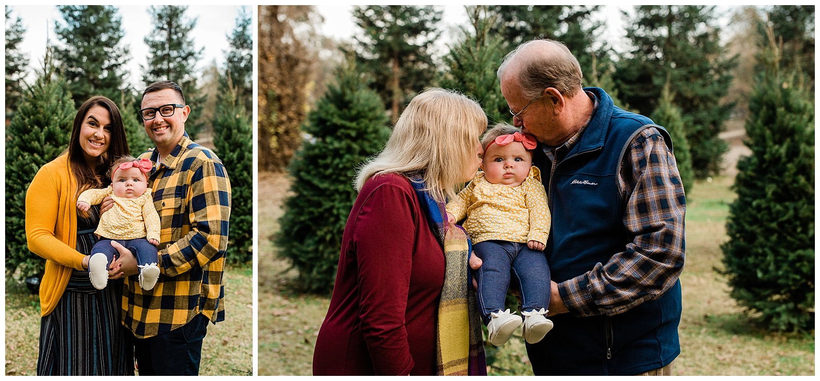 family photos at a christmas tree farm