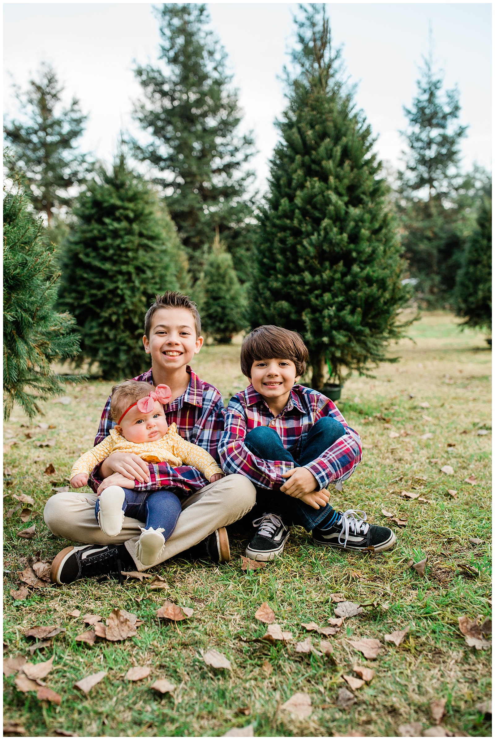 grandkid photos with christmas trees