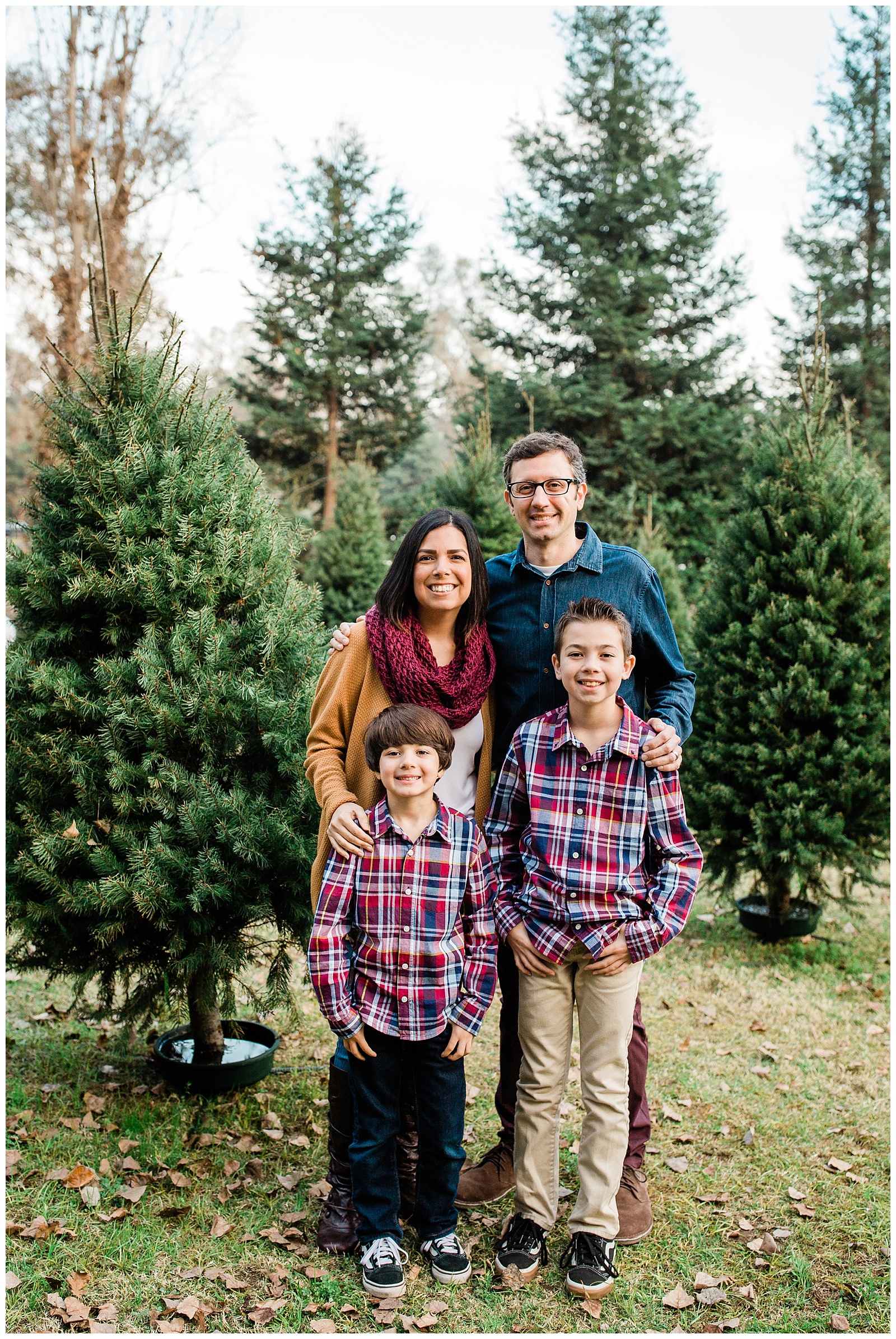 christmas family photos