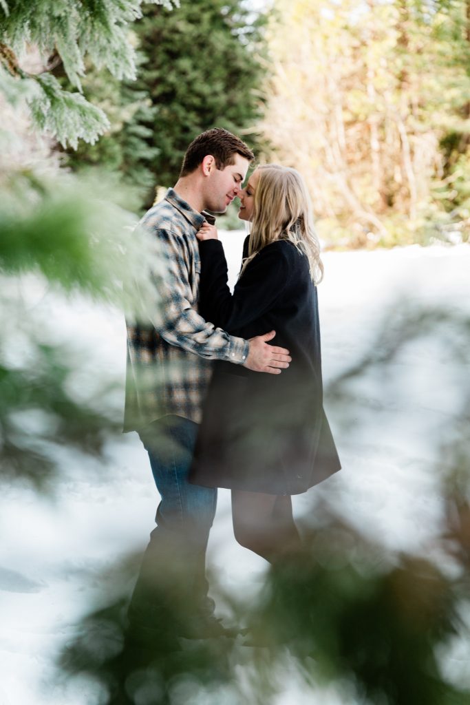 engagement picture looking through pine trees at couple