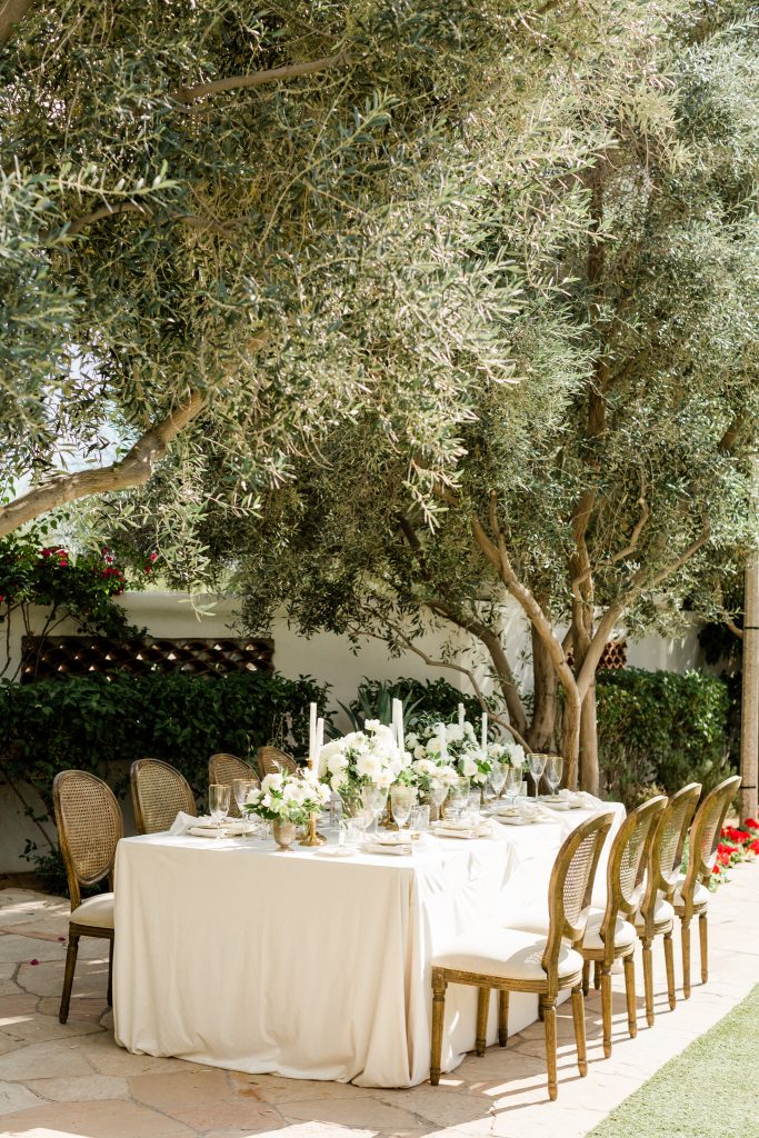 outdoor luxury wedding reception table under tree with white and gold