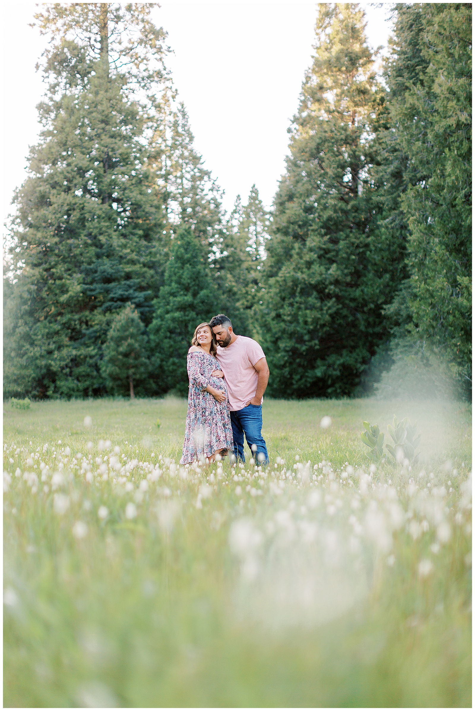 maternity photos in meadow with wildflowers