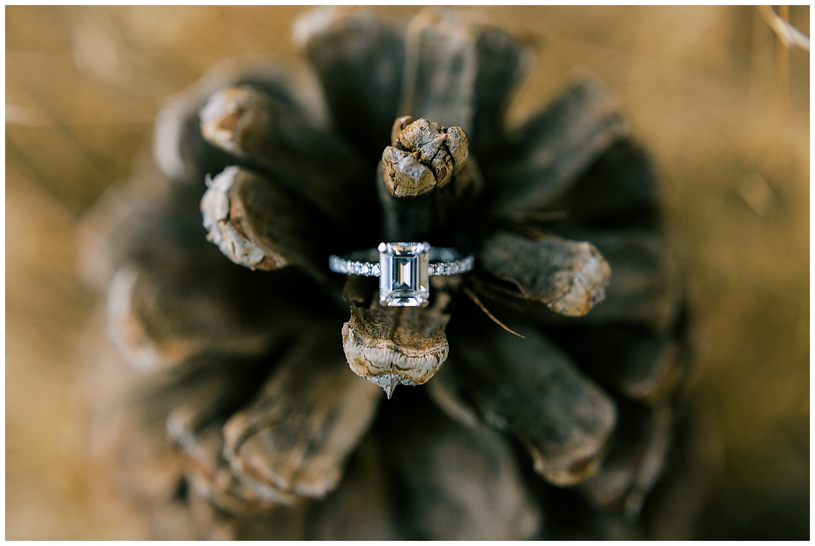 emerald cut engagement ring with diamond band sitting on pinecone