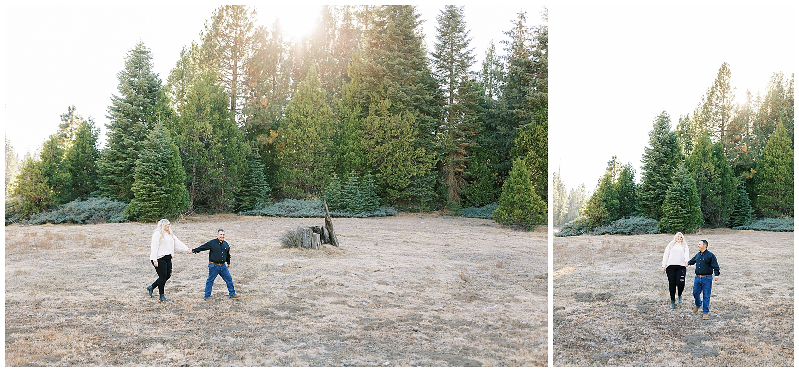 engaged couple holding hands walking in mountain meadow in the fall shaver lake engagement photos