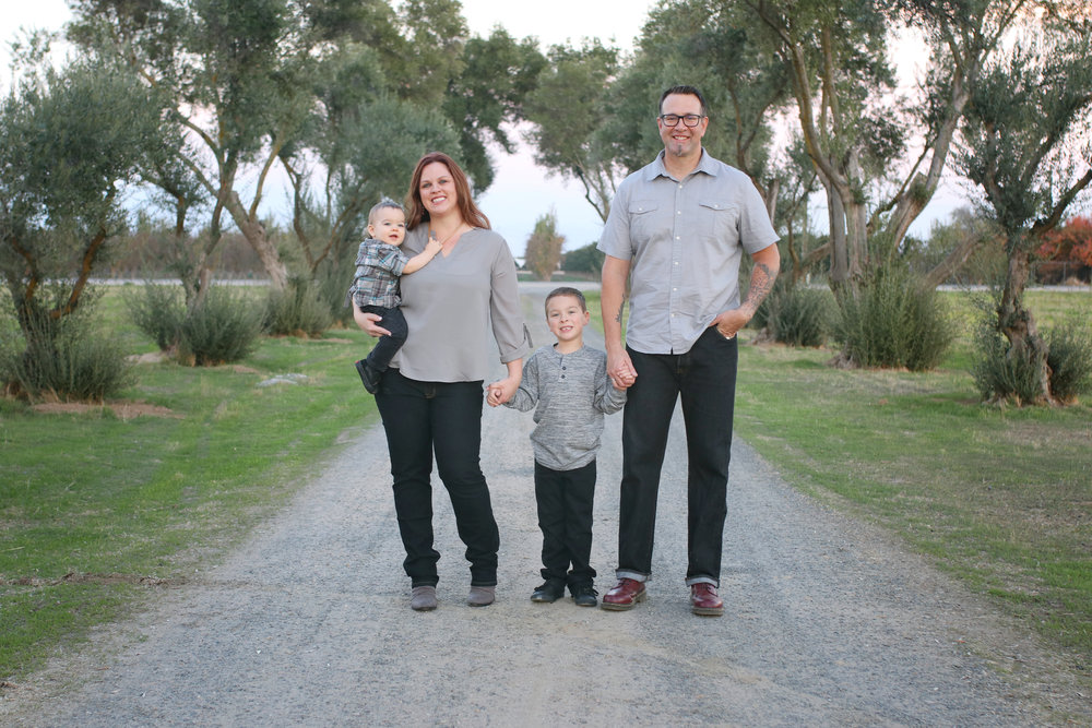 family photos with olive trees