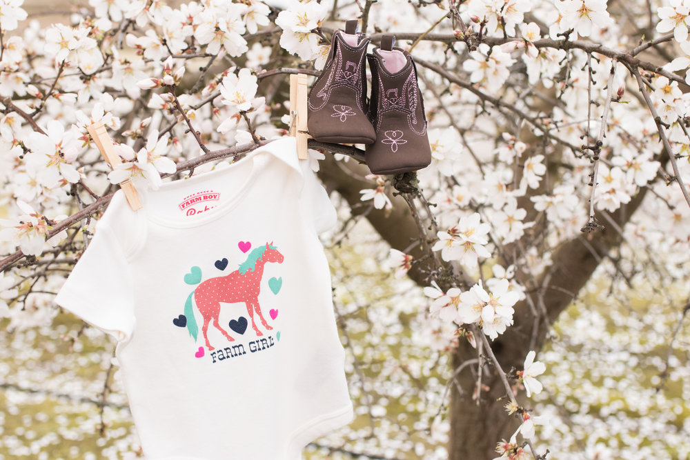 newborn outfit hanging in an almond tree blooming on the blossom trail