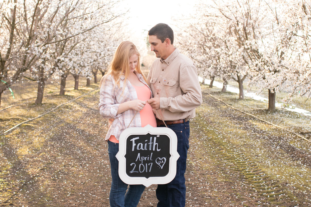 maternity photo of a couple holding a sign with their due date in an almond orchard