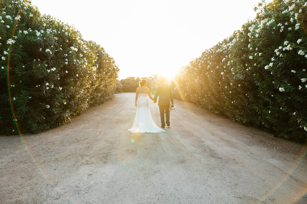 summer-garden-wedding-r-wedding-house-fresno-wedding-venue-dinuba-california-by-megan-helm-photography