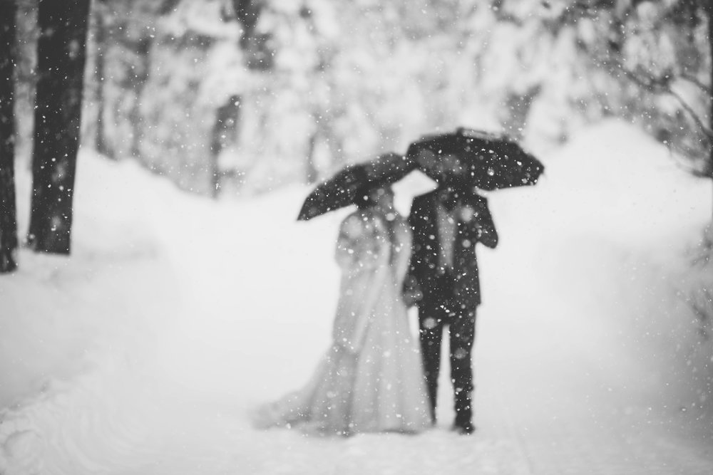 soft focus, black and white wedding photo