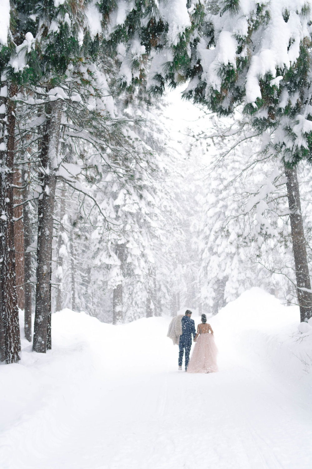 soft focus photo of a bride and groom walking away from the camera during a snowy wedding portrait session