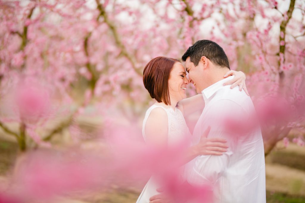 blossom trail engagement photos pink and white