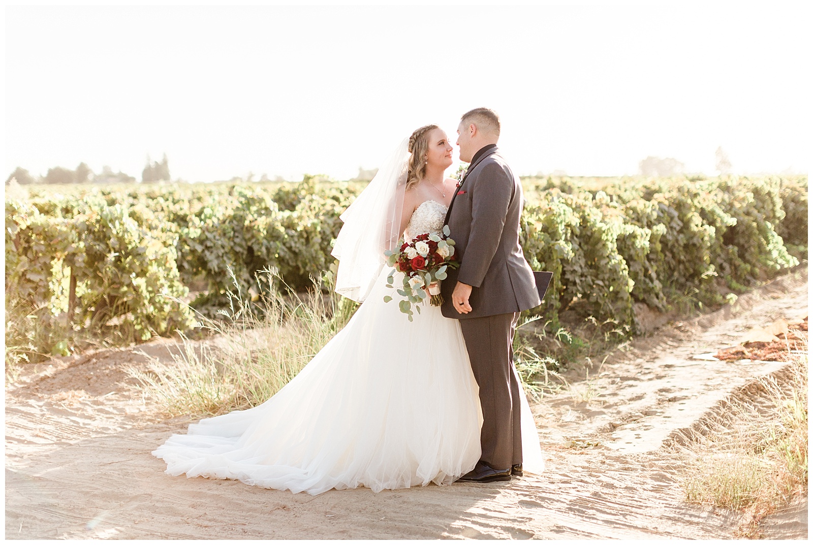 bride and groom standing in the vineyards at sunset