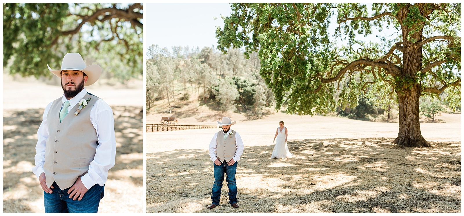 first look under a large oak tree at fox creek ranch