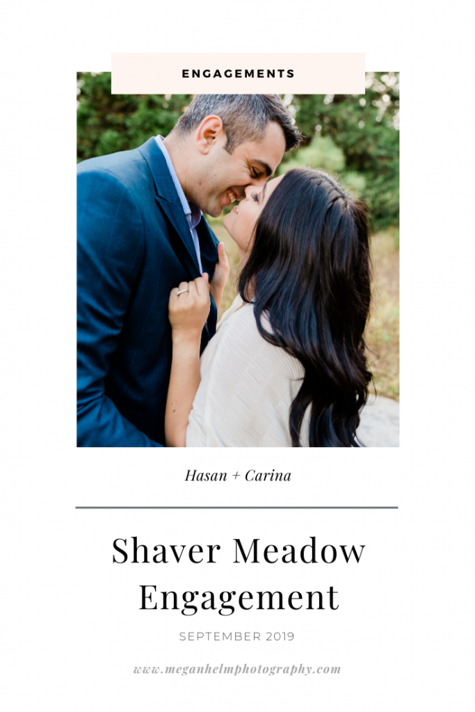 Shaver Lake Meadow Engagement Session