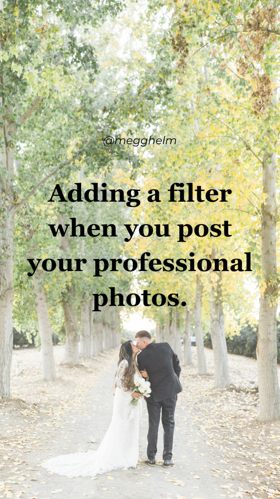 adding filters to professional photos