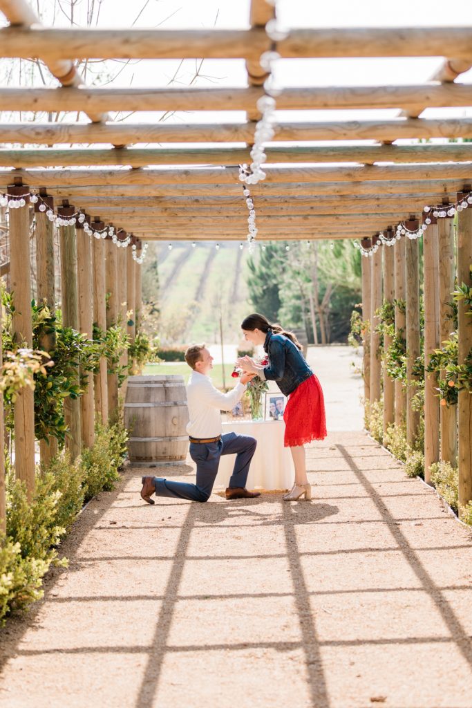 man kneeling and proposing to his girlfriend at toca winery in madera california