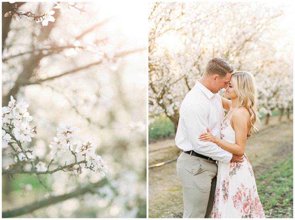 Couple hugging for spring engagement photos in blossom field