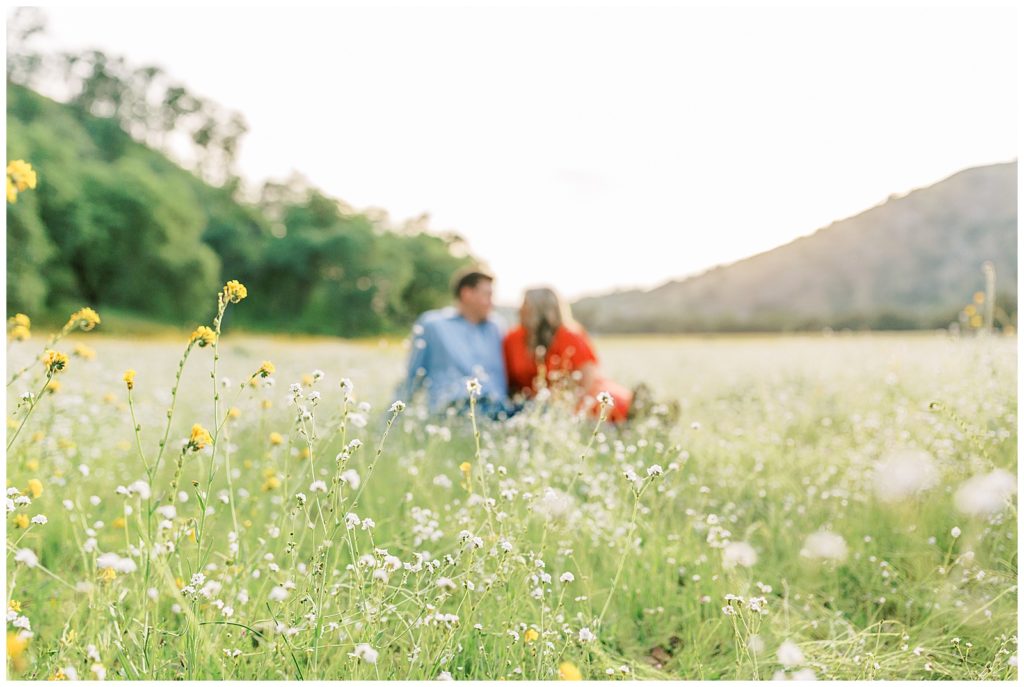 Couple sitting in background behind wildflowers