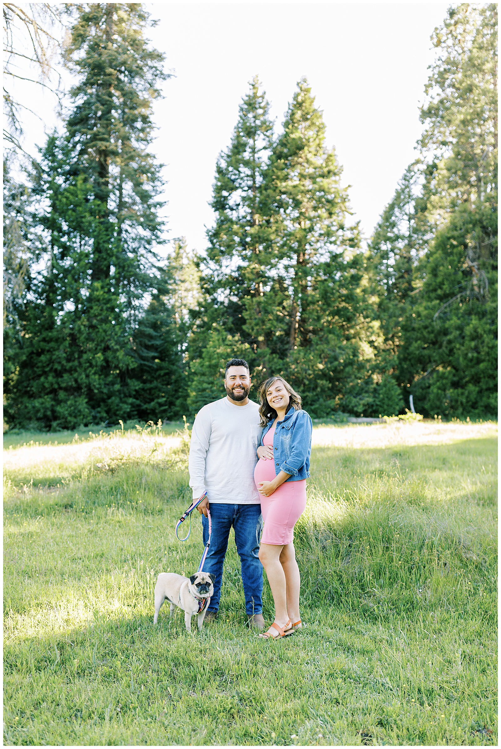 maternity photos in grassy meadow in shaver lake