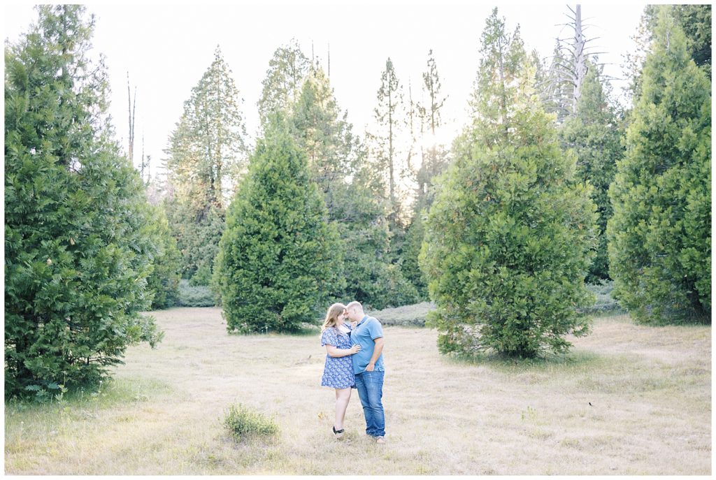 engaged couple embracing in meadow