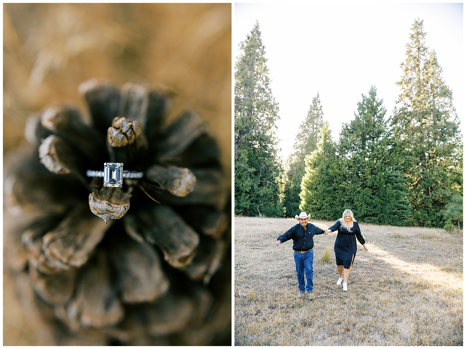 close up emerald engagement ring on pinecone engaged couple holding hands and walking through meadow