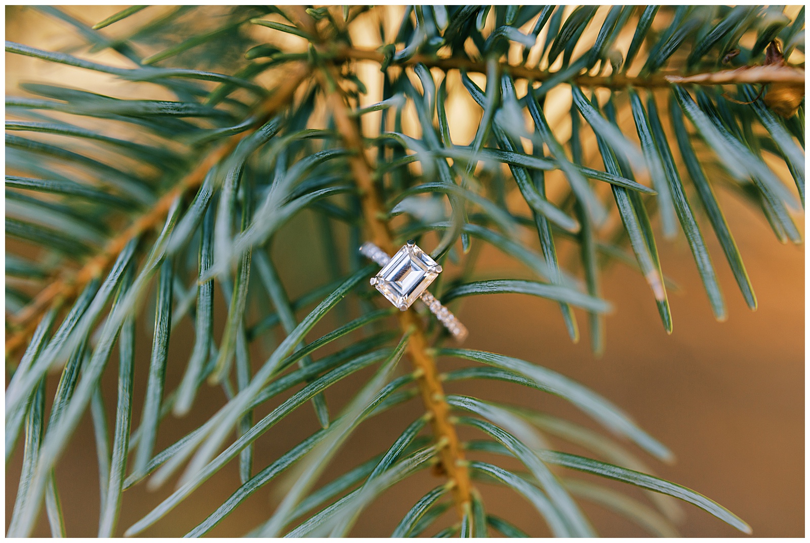 emerald cut engagement ring diamond band on pine tree branch