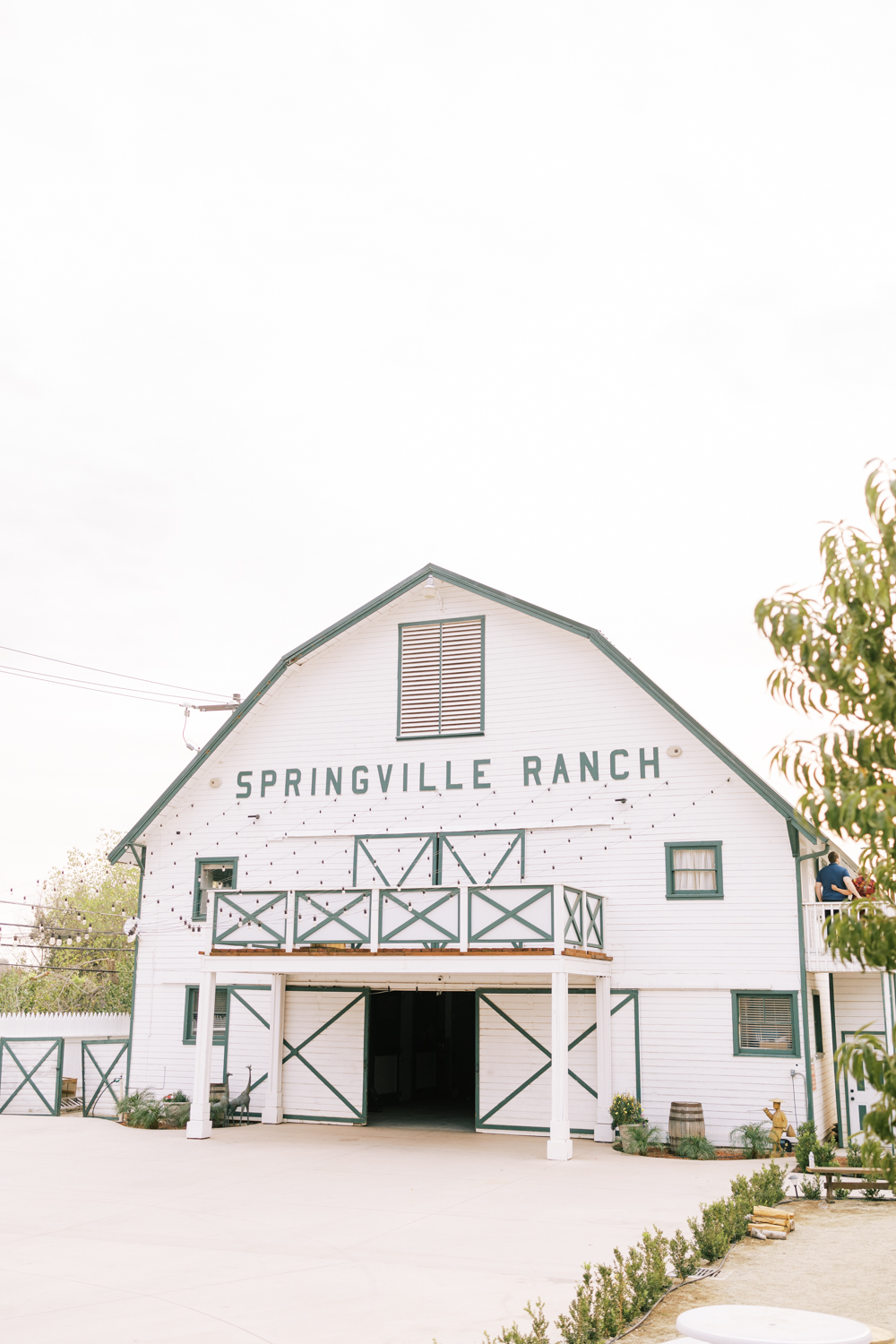 springville ranch wedding white barn with bistro lights