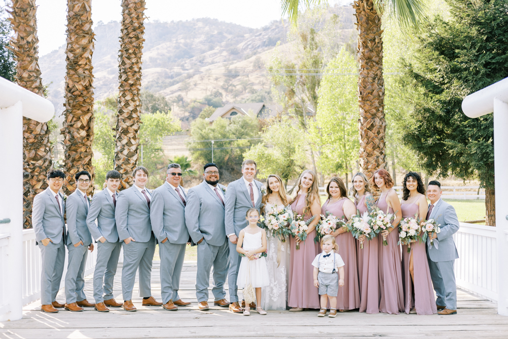 grey and blush wedding party