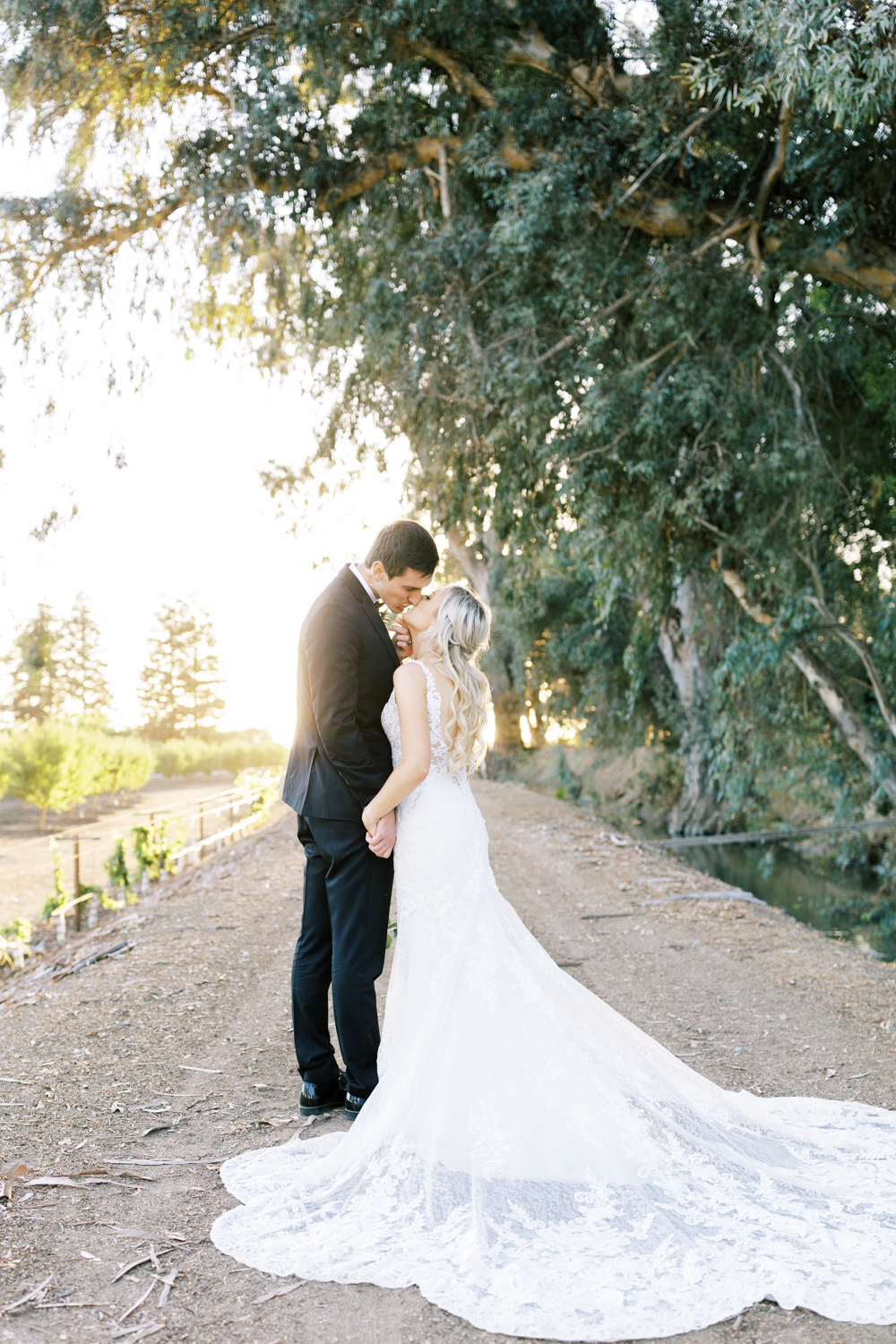 bride and groom kissing along eucalyptus lined drive at sunset by fresno wedding photographer megan helm photography