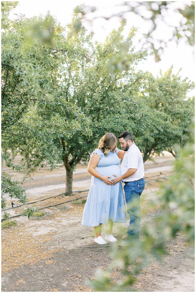 pregnant couple with hands on baby belly embracing in family almond orchard