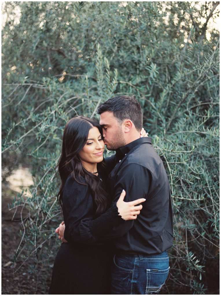 man kissing fiance on the cheek in olive grove at sunset portra 800 film megan helm photography