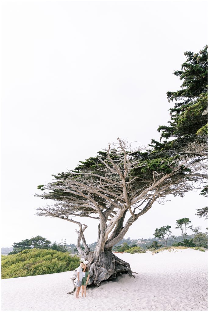 couple standing in front of tree at carmel beach